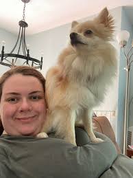 Hi all! Thank you for accepting me onto the group. Love seeing your  pictures and reading the advice. This is my boy, he's almost 12 weeks and  is the most fabulous character.