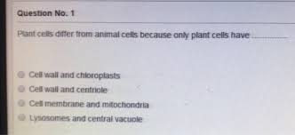 Maybe you would like to learn more about one of these? Solved Question No 1 Plant Cells Differ From Animal Cells Chegg Com