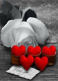 Pin Di Antonella Su Spruzzi Di Colore Immagini Spruzzi Di Colore Fiori