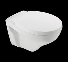 This whole process includes the digestive system where all the types of foods and water you drink forces to. Toilet Trivia Hindware Homes Blog