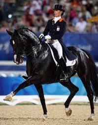 Семейный нидерланды • берт пенраат. Anky Van Grunsven Photostream Dressage Horses Horses Equestrian Dressage