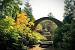 Unc Botanical Gardens