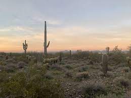 Bewertungen, hotelbilder & top angebote: Best Hikes In The Mcdowell Sonoran Preserve Scottsdale Arizona