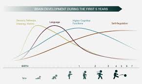 Why Its Important The David And Lucile Packard Foundation