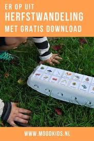 Een Eierdoos Met Herfst Thema Maken Van Gratis Printvel Eierdoos Herfst Knutselen Kinderen Herfst Knutselen