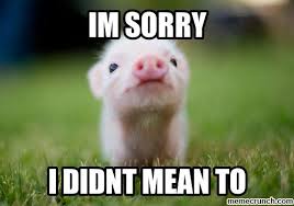 Best 21 I M Sorry Memes So Life Quotes Baby Animals Pictures Cute Baby Animals Baby Pigs
