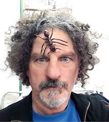 Alejandro G. Farji-Brener archivos