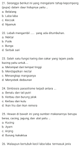 We did not find results for: Kumpulan Soal Pilihan Ganda Ipa Kelas 4 Sd Sesuai K13 Dwi Purwanto