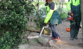 Kenneth mag 'prokkelen' bij brandweer