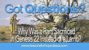 Why Was A Ram Sacrificed In Genesis 22 Instead Of A Lamb Reasons For Hope Jesus Genesis God Will Provide Sacrifice