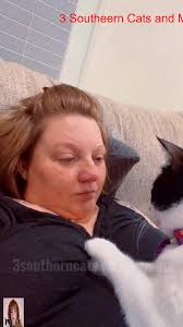 3 Southern Cats and Momma, W Kristi Cates