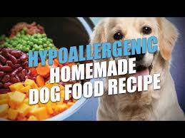 hypoallergenic homemade dog food recipe