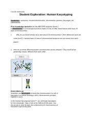 Karyotyping is the process by which photographs of chromosomes are taken in order to determine the chromosome complement of an individual. Gizmo Docx Cassidy Andruszka Student Exploration Human Karyotyping Vocabulary Autosome Chromosomal Disorder Chromosome Genome Karyotype Sex Chromosome Course Hero