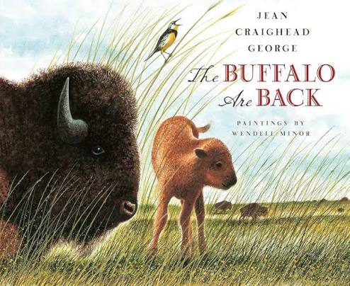 The Buffalo Are Back: George, Jean Craighead, Minor, Wendell: 9780525422150: Amazon.com: Books