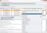 What is Burp Suite Professional