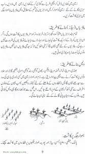 Noons Info How To Grow Vegetables Fruits Kitchen