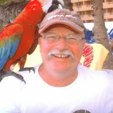 Stream Peter Shelly music