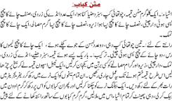 Image of Mutton Kabab Recipe in Urdu