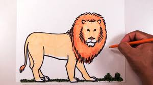 During the class you will learn : Learn To Draw A Lion Easily Youtube