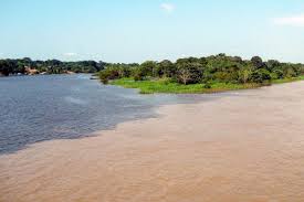 Informationen für ihre reise nach brasilien und bewertungen der sehenswürdigkeit von anderen reisenden. Amazonas Regenwald Um Manaus Brasilien Franks Travelbox