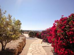 Cyprus Flowers At A Lovely Villa In Sea Caves With Impressive Sea Front Plot Cyprus Flowers Garden