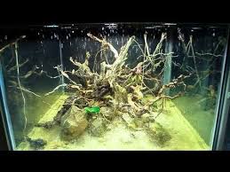 Island Paludarium 360 Diy Climate Rain System Hd 2013 Fountain Design Fountains Outdoor Nature Art