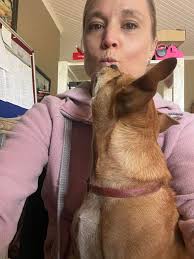 Secure items around ridgeback office dogs