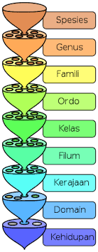 Sistem 5 kingdom protista 2 kingdom fungi kingdom monera 1 3 5 4 kingdom plantae. Klasifikasi Biologis Wikipedia Bahasa Indonesia Ensiklopedia Bebas