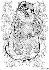 1388x1080 artistic hippie sun coloring pages printable arts for adults. Marmot By Ipanki Squirrels Rodents Adult Coloring Pages