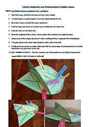 Photosynthesis And Cellular Respiration Foldable Photosynthesis And Cellular Respiration Science Cells Photosynthesis
