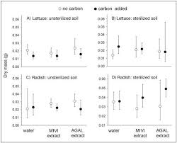 Image result for Microstegium fasciculatum