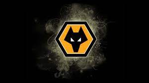 Best quality wolf picture for you we have made wallpaper. Pin On Wolfvez