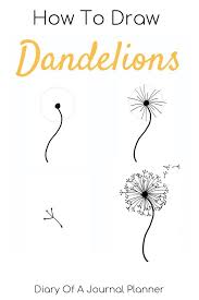 5 Exercises To Get Better At Drawing Drawing On Demand Dandelion Drawing Flower Art Drawing Flower Drawing Tutorials