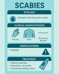 Image result for scabies transmission