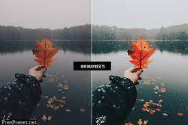Lightroom is great for allowing you to increase the dynamic range of a photo. 5 Autumn Lightroom Presets 4140633