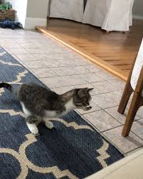 Maybe you would like to learn more about one of these? Kindness Pet Hospital Fl Peepsburgh