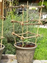 popular pins on pinterest garten hochbeet gartenspaliere topf und kubelpflanzen