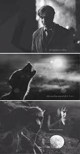 The Madness Within Remus Lupin My Edit Remus Lupin Remus Story Inspiration