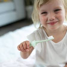 دكتور براونز فرشاة اسنان للرضع والاطفال الصغار بتصميم فيل ونعناعي، 0-3  سنوات : Amazon.ae: الصحة