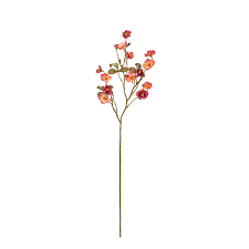 Dried flowers └ dried botanicals & potpourri └ floral crafts └ home arts & crafts └ crafts all categories antiques art automotive baby books business & industrial cameras & photo cell phones & accessories clothing, shoes & accessories coins & paper money collectibles computers/tablets. Rose Dry Mini Rose Beauty Red Artificial Flower Flower Import Japanese Products At Wholesale Prices Super Delivery