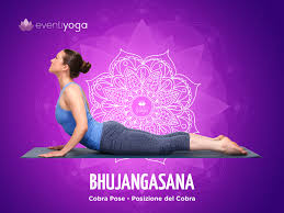 Le Posizioni Dello Yoga Guida Illustrata A Tutti Gli Asana Eventi Yoga Esercizi Di Yoga Yoga Asana