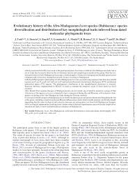 Image result for Ixora brachypoda