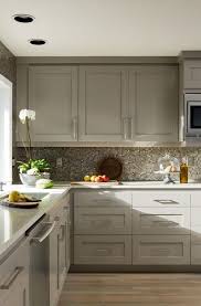 The Psychology Of Why Gray Kitchen Cabinets Are So Popular Grey Kitchen Cabinets Kitchen Cabinet Design Kitchen Renovation