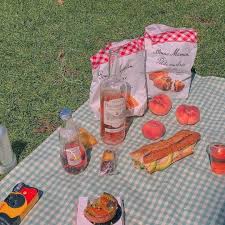 Save Fl Please Do Not Take In Silence Picnic Aesthetic Food Picnic Inspiration