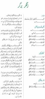 Pin By Fariha N On Recipes In 2020 Cooking Recipes In Urdu Chicken Burgers Recipe Cooking Recipes
