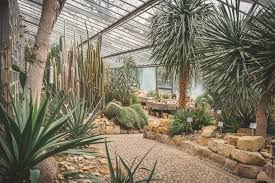 Um die sicherheit unserer gäste und. Planten Un Blomen Schietwetter