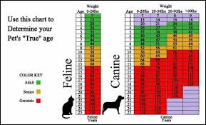 Dog And Cat Age Chart Cat Age Chart Pet Health Pets