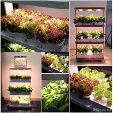 Home Used Hydroponic Growing Systems Smart Mini Garden Planter Vertical Garden Systems New Indoor Vegetable Gardening Indoor Farming Vertical Vegetable Gardens