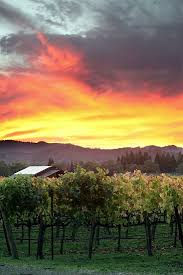 Pin By Lauren Przeniczny White On See The World Napa Valley Places Napa California