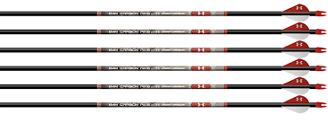 21 Punctual Easton Axis Arrow Chart